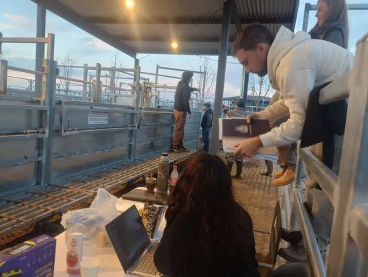 tn_IMG_20250604_174916931_HDR