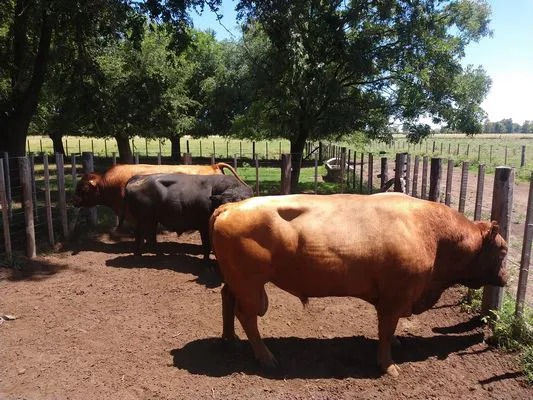 tn_IMG_20231213_120839476