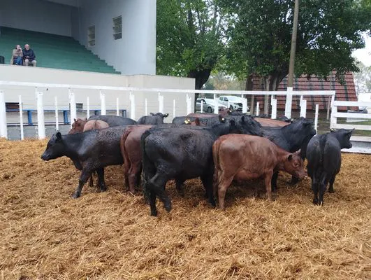 tn_IMG_20241023_124340105