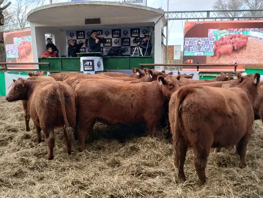 tn_IMG_20240625_162952407_HDR