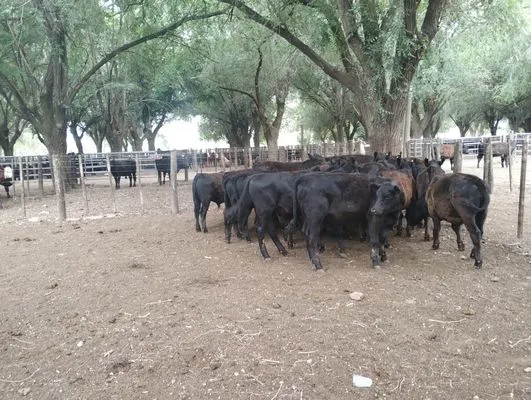 tn_IMG_20250116_162634618