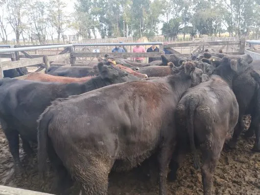 tn_IMG_20250505_154632429