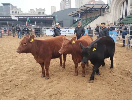 tn_IMG_20240522_091934541