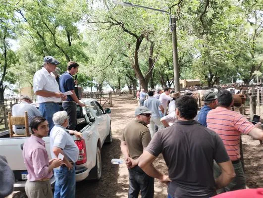 tn_IMG_20241211_114129314_HDR