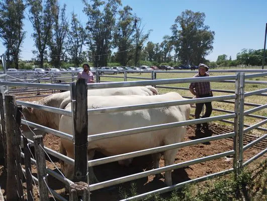 tn_IMG_20241026_115126154