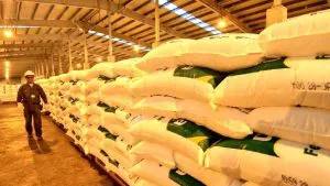 fertilizantes-bolsas-300x169
