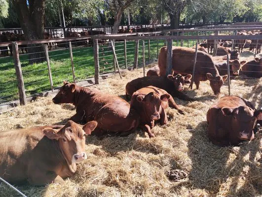 tn_IMG_20240501_143009741