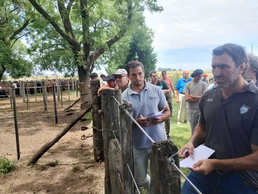 tn_IMG_20241211_120841266_HDR