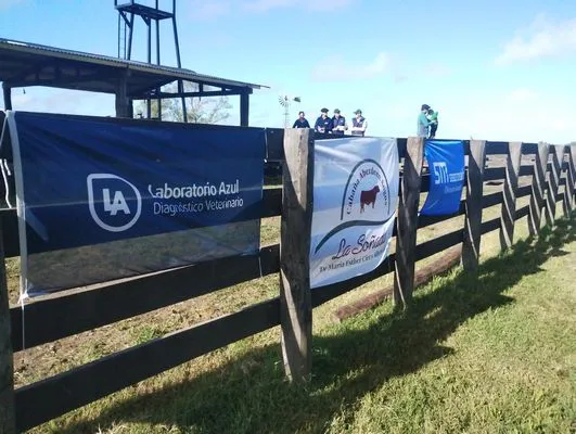 tn_IMG_20250409_095946925