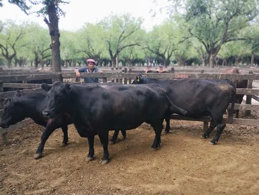 tn_IMG_20250116_153741130_PORTRAIT