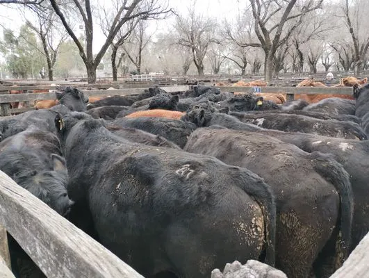 tn_IMG_20240731_114500361