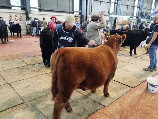 tn_IMG_20250521_160844604