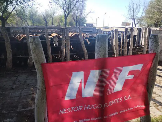 tn_IMG_20240406_094000236