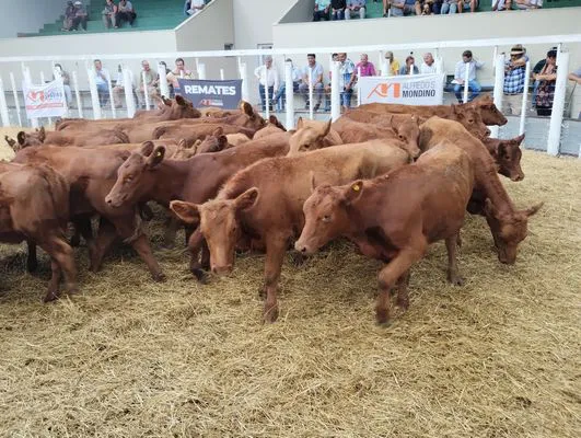 tn_IMG_20240221_144736959