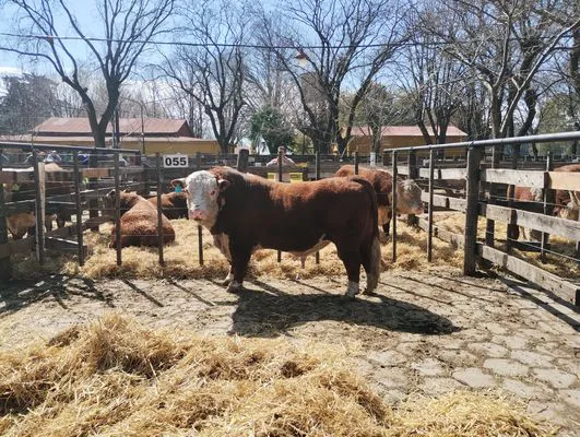 tn_IMG_20240906_122828966