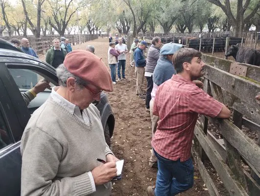 tn_IMG_20250425_161212315