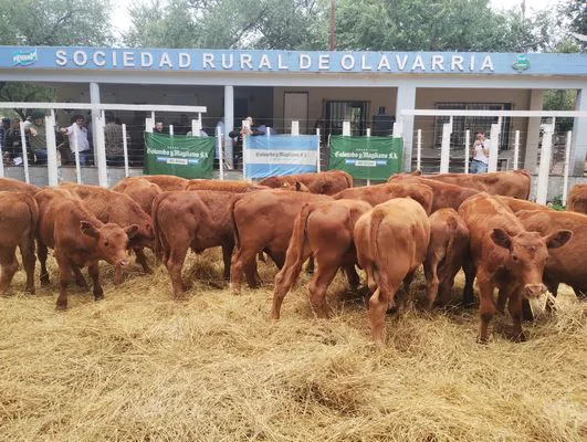 tn_IMG_20250205_152546697