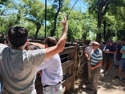 tn_IMG_20241129_141242475_HDR