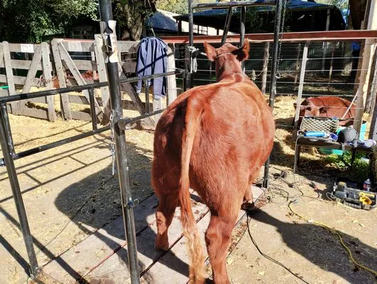 tn_IMG_20240502_142839204_HDR