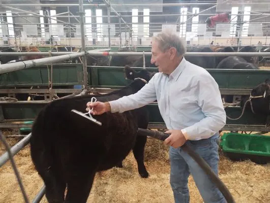 tn_IMG_20250519_114041829