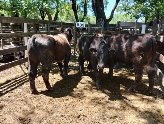 tn_IMG_20241129_135428900_HDR