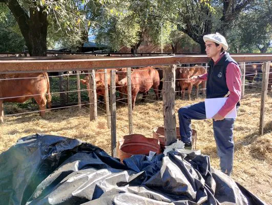 tn_IMG_20240502_152017170_HDR