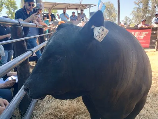 tn_IMG_20241026_144023118_HDR