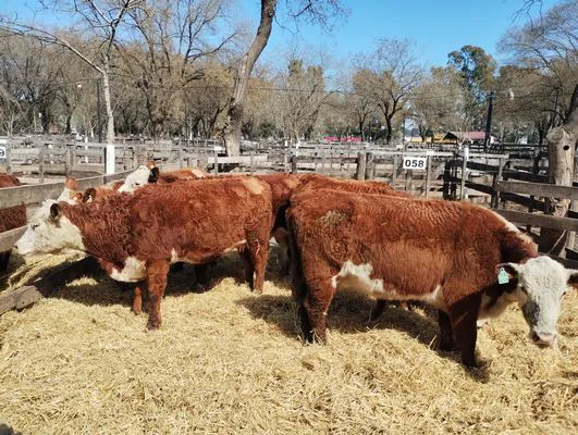 tn_IMG_20240906_122815119