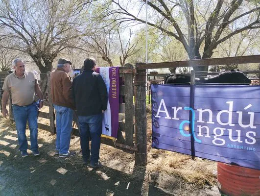 tn_IMG_20240907_120623752