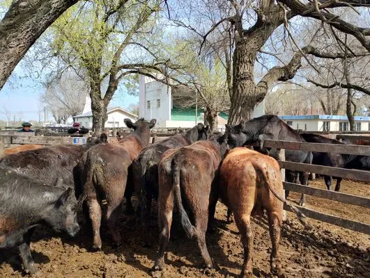 tn_IMG_20240828_113508877_HDR