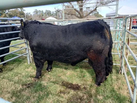 tn_IMG_20240815_114224197_HDR