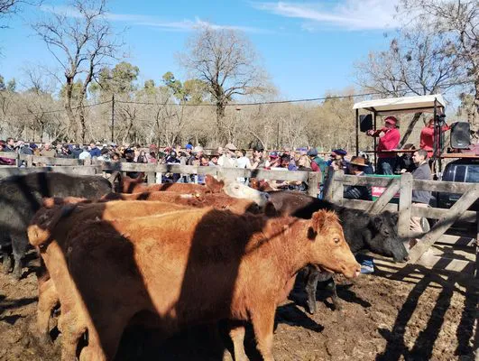 tn_IMG_20240829_123831839_HDR