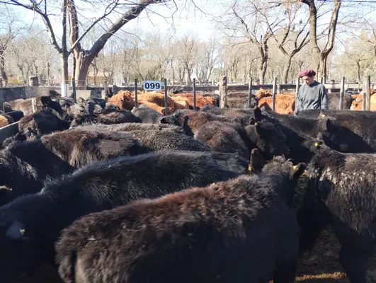 tn_IMG_20240829_152354307