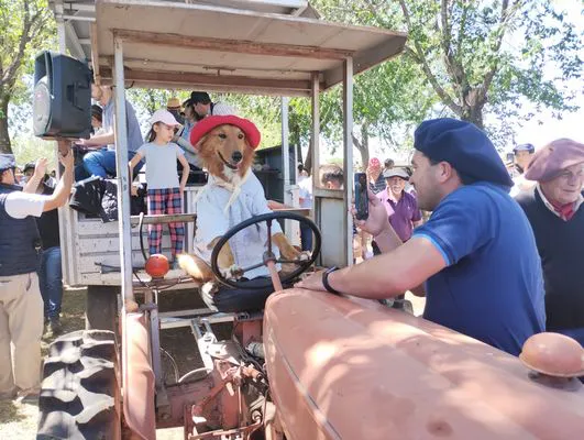 tn_IMG_20241026_121657858