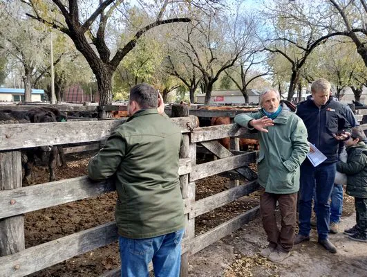 tn_IMG_20240529_122551127_HDR