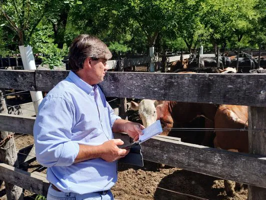 tn_IMG_20241129_153335937_HDR