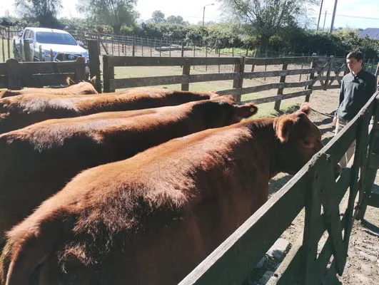 tn_IMG_20240501_144505993