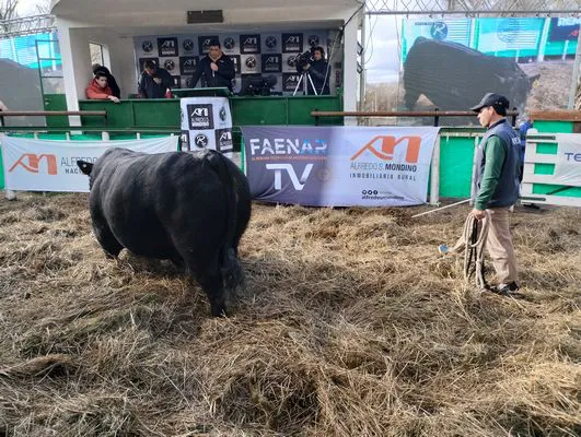 tn_IMG_20240625_144626353_HDR