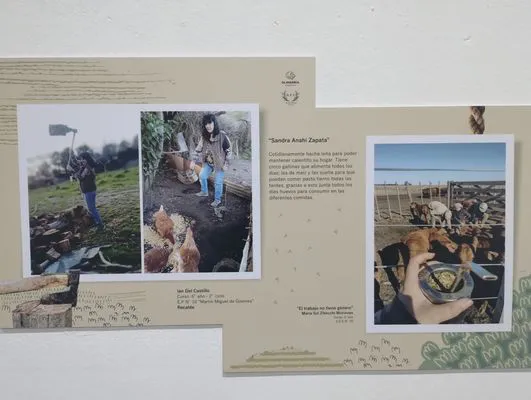 tn_IMG_20241015_185420343