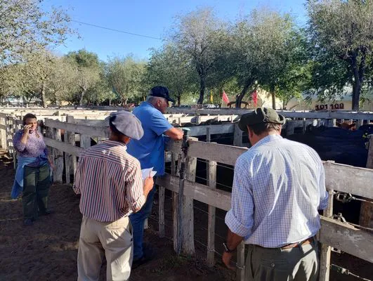 tn_IMG_20240405_165334131_HDR