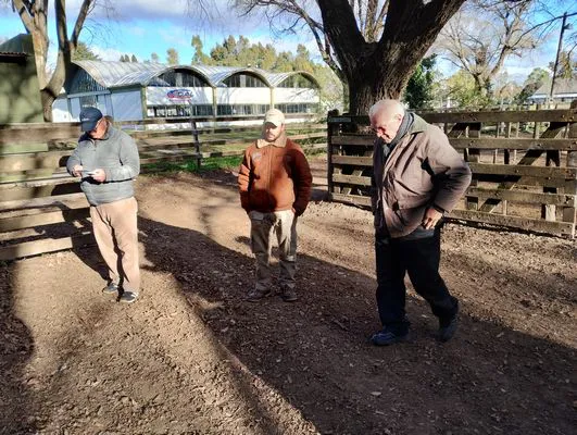 tn_IMG_20240628_154316376_HDR