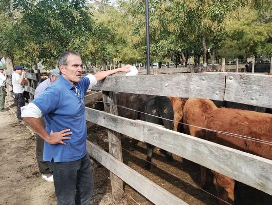 tn_IMG_20250514_133030846