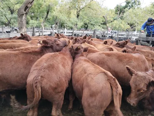 tn_IMG_20240411_142608123