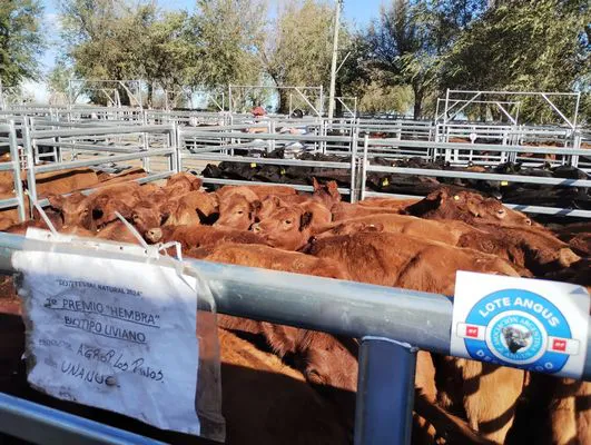 tn_IMG_20240406_164336671