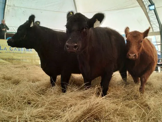 tn_IMG_20240711_151448167_HDR