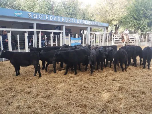 tn_IMG_20250409_161411834