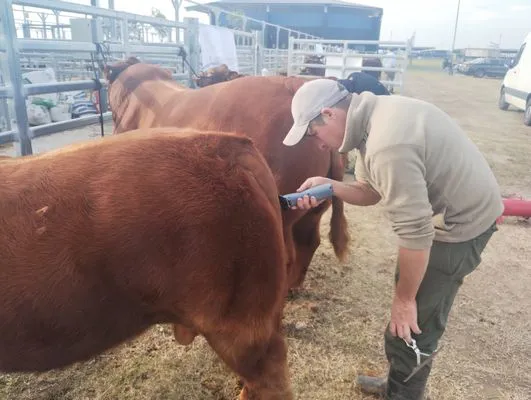 tn_IMG_20250604_154831379