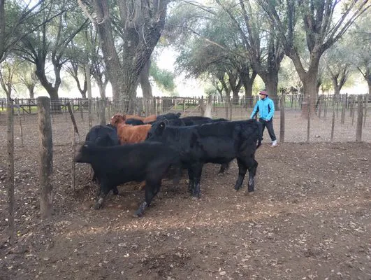 tn_IMG_20250425_165205208