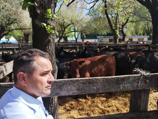 tn_IMG_20241008_145559048