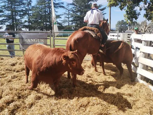 tn_IMG_20240912_150458669